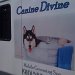 Vehicle Wrap Gallery Image